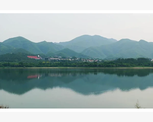 参苓健脾胃讲座：科学与实践结合的健康之道