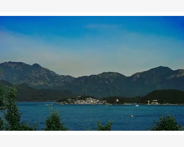 蚯蚓吃痰？中医解析肺病痰湿排解之道